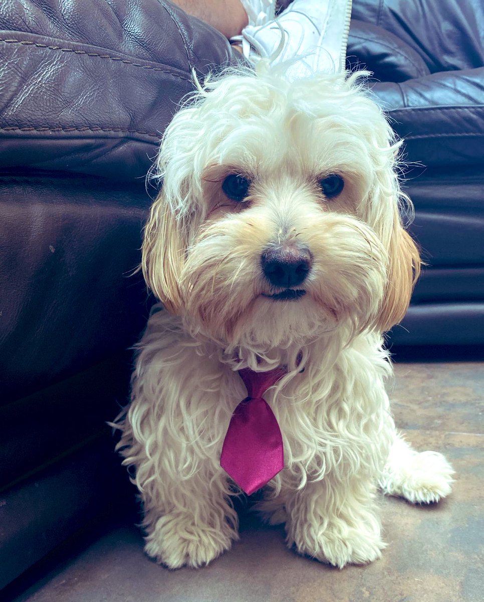 El buen Pancho y las compras innecesarias.