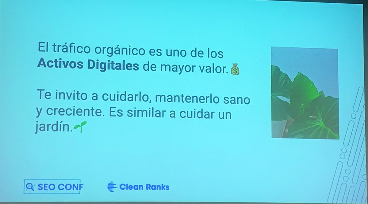 consultinamx's tweet photo. 🌱🪴
#seoconf2022 https://t.co/GYEx0IvNL5