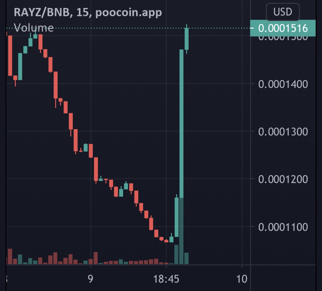 PUMP PUMP PUMP #RayzToken