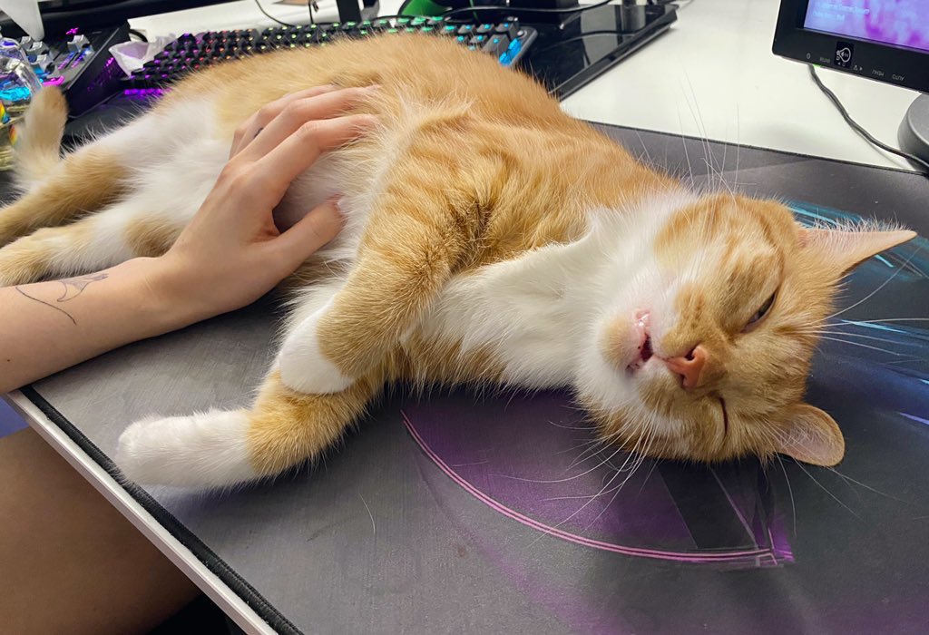 Vlesk (Vlesk) / Twitter