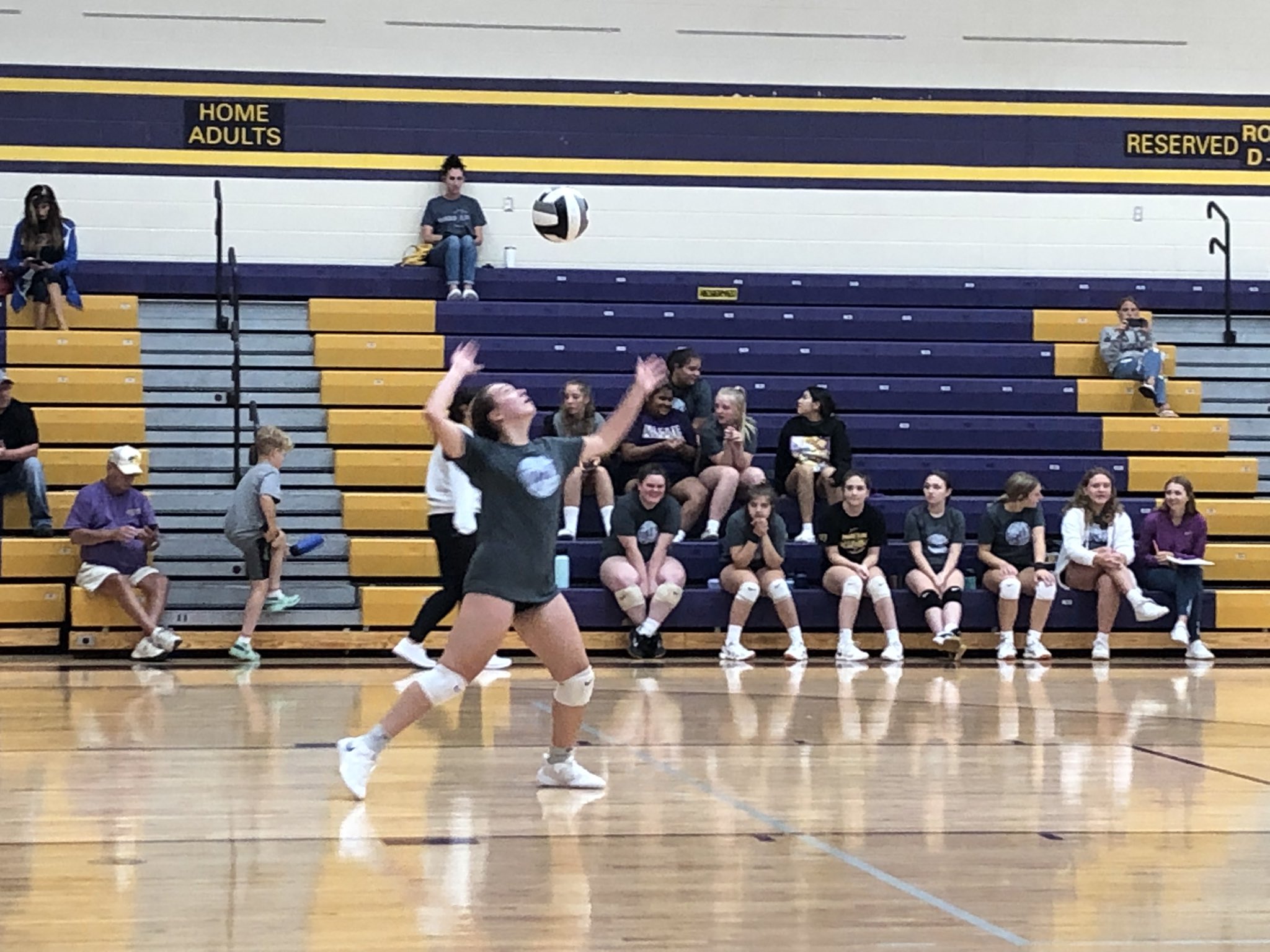 Holgate Athletics on Twitter "🏐 Lady Tigers 🐯 work on their game