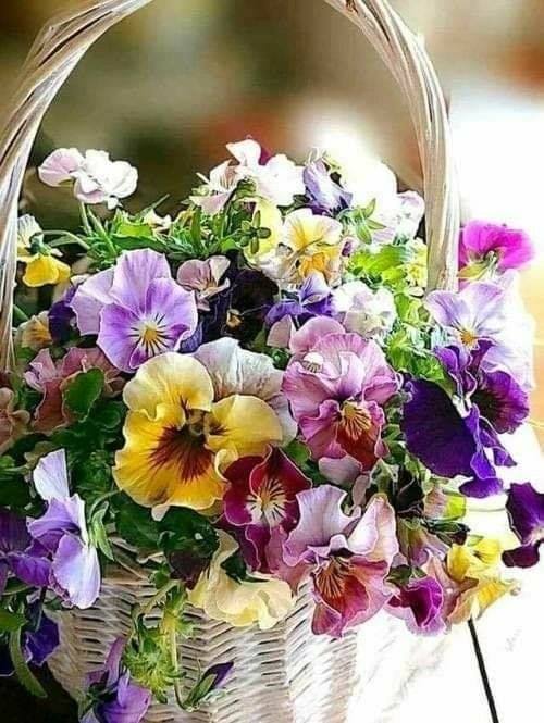 BloomableShop's tweet image. 