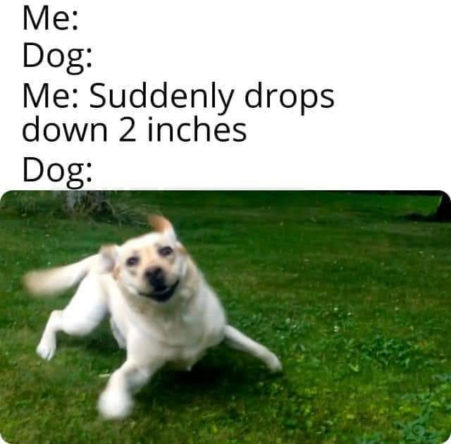 WholesomeMeme's tweet photo. https://t.co/bmDNJ9v1YE