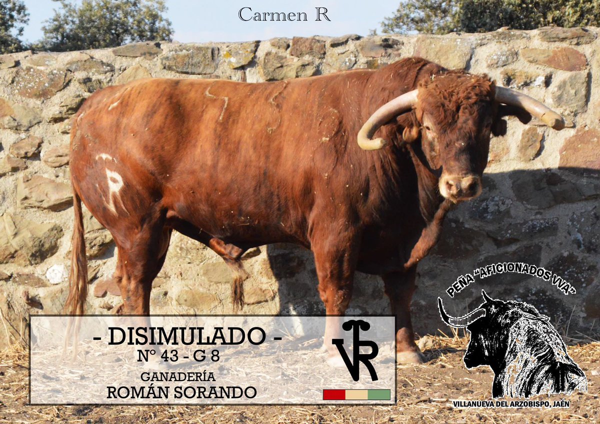 TorosEnJaen's tweet photo. 🏟 𝗩𝗩𝗔. 𝗗𝗘𝗟 𝗔𝗥𝗭𝗢𝗕𝗜𝗦𝗣𝗢 | 
“Disimulado” de #RomanSorando, es el 🐂 elegido por la 𝗣𝗲𝗻̃𝗮 𝗱𝗲 𝗔𝗳𝗶𝗰𝗶𝗼𝗻𝗮𝗱𝗼𝘀 𝗱𝗲 𝗩𝘃𝗮. para la capea del 𝘀𝗮́𝗯𝗮𝗱𝗼 𝟭𝟬 𝗱𝗲 𝘀𝗲𝗽𝘁𝗶𝗲𝗺𝗯𝗿𝗲, tras el encierro urbano ⬇️ https://t.co/6sAO49gb61