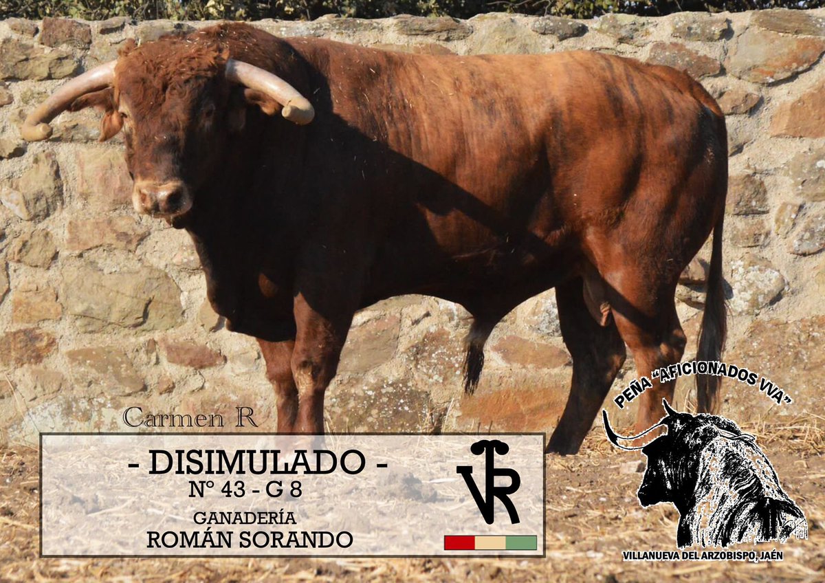TorosEnJaen's tweet photo. 🏟 𝗩𝗩𝗔. 𝗗𝗘𝗟 𝗔𝗥𝗭𝗢𝗕𝗜𝗦𝗣𝗢 | 
“Disimulado” de #RomanSorando, es el 🐂 elegido por la 𝗣𝗲𝗻̃𝗮 𝗱𝗲 𝗔𝗳𝗶𝗰𝗶𝗼𝗻𝗮𝗱𝗼𝘀 𝗱𝗲 𝗩𝘃𝗮. para la capea del 𝘀𝗮́𝗯𝗮𝗱𝗼 𝟭𝟬 𝗱𝗲 𝘀𝗲𝗽𝘁𝗶𝗲𝗺𝗯𝗿𝗲, tras el encierro urbano ⬇️ https://t.co/6sAO49gb61