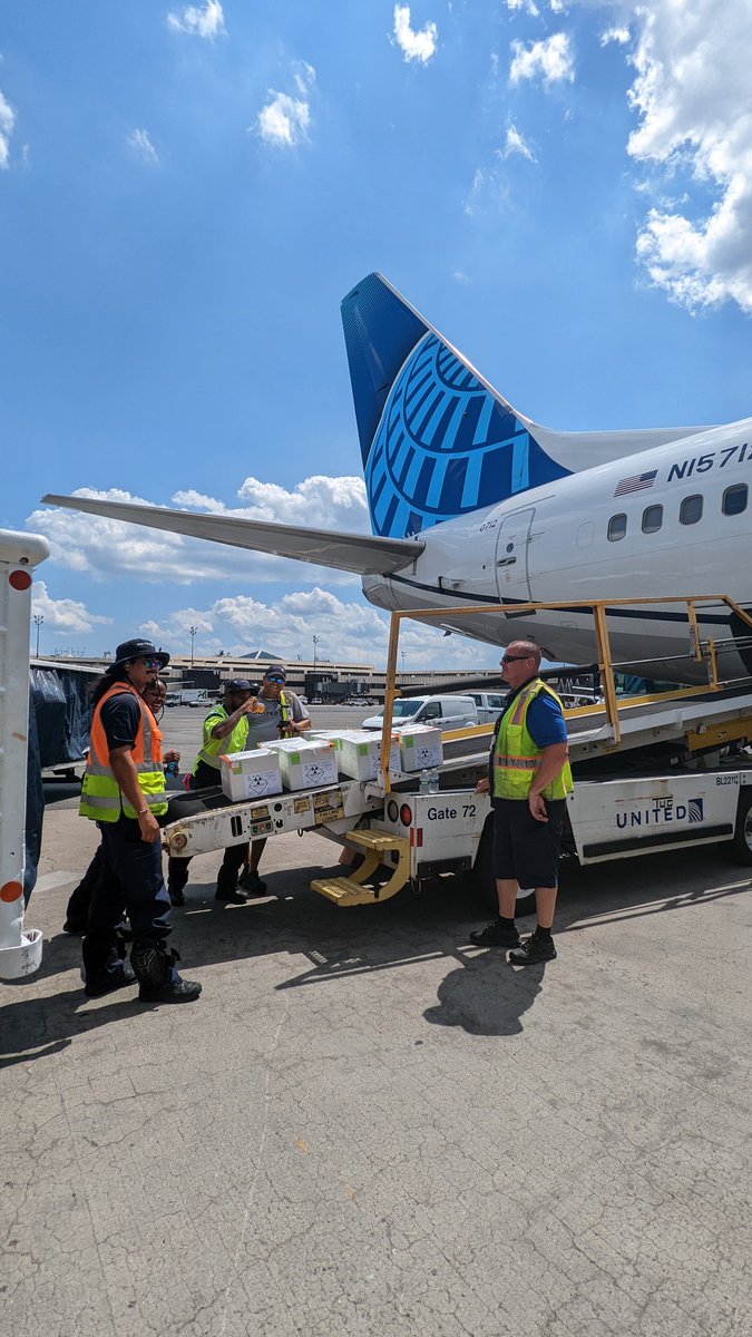 The EWR team is off to a great start deploying RDL 2.0 and working in harmony with the standard leads and consistency team! @MikeHannaUAL @rodney20148 @AO_Execution @UA_Ramp_Proud @HendyGeorge @BsquaredUA @SalangaJ @DavidWisdomUA @KevinSummerlin5