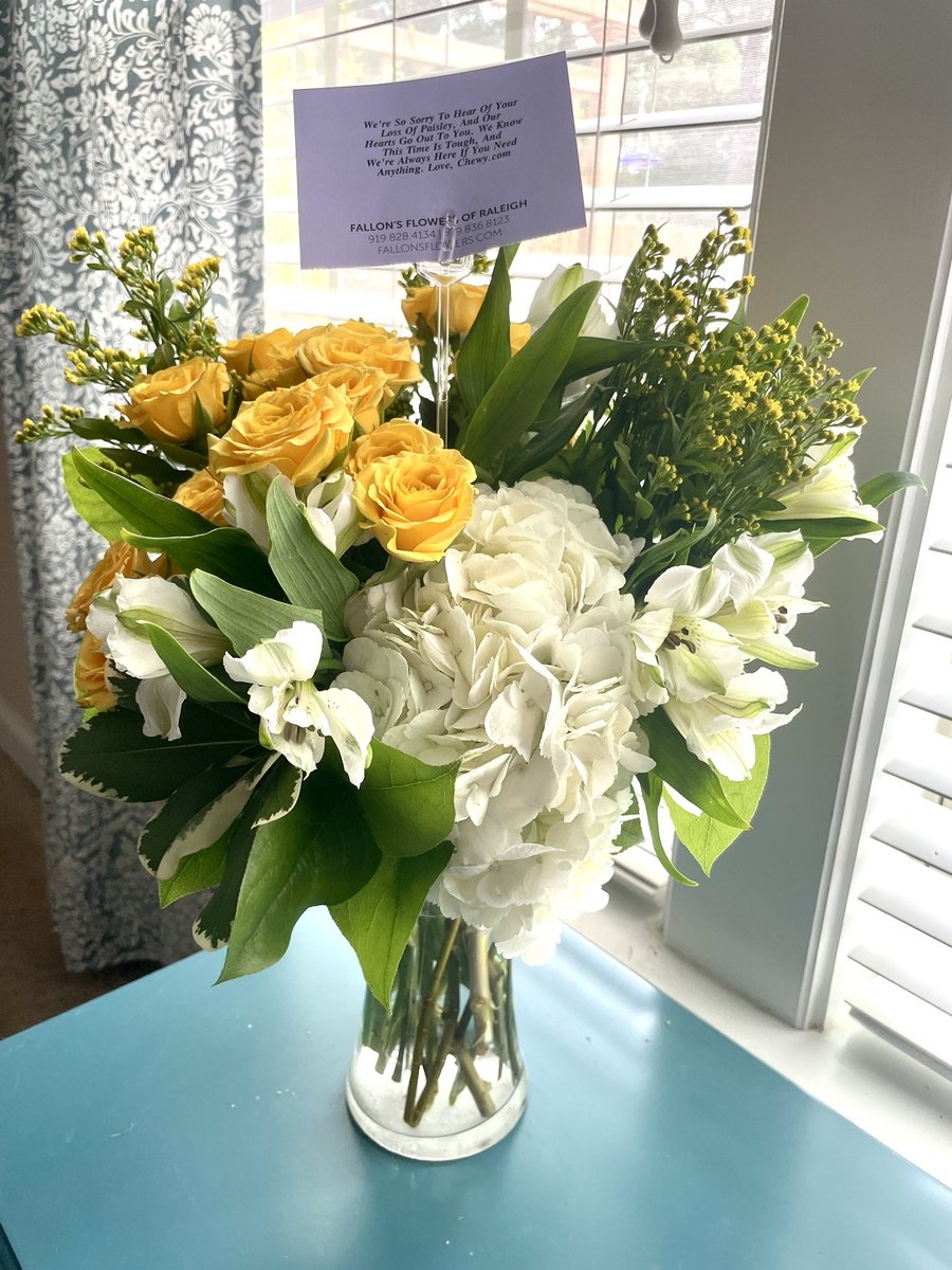 mckmyers's tweet photo. The sweetest gesture by @Chewy and most beautiful flowers from @FallonsFlowers to remember Paisley! 💕🐕 https://t.co/KGdSwYw4Rd