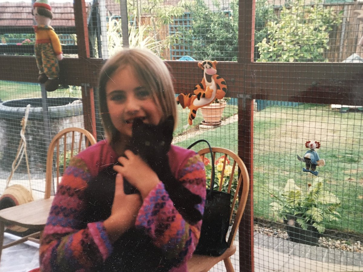 HelenaPrettyman's tweet photo. Said goodnight to my beautiful angel baby Thomas tonight. Thank you for over 18 years of love and purrs. I love you so much and always will 🐾 #rescuecat #rescuedontbuy https://t.co/2y45hV7D6J