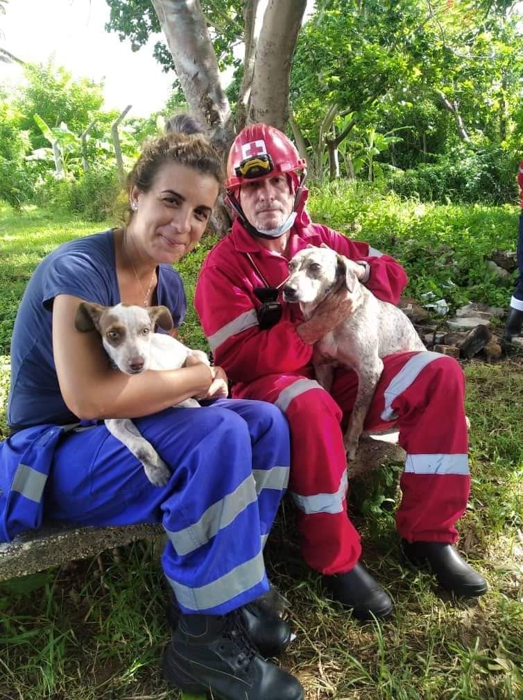 ElNecio_Cuba's tweet photo. Rescatados del fuego 🐕🇨🇺👨🏽‍🚒
#BienestarAnimal #Cuba https://t.co/X2ekegllxv