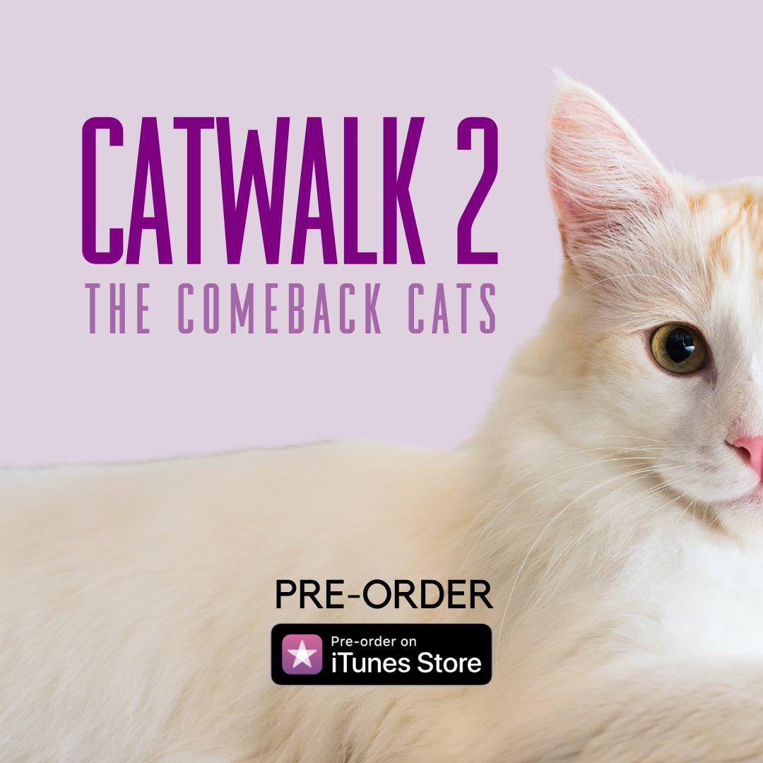 Catwalk_doc's tweet photo. Only a few more days until we get to share Catwalk 2!! You can pre-order today on iTunes or Apple TV!! 😻 #Catwalk2 #ComebackCats https://t.co/xKRqvYRqxl