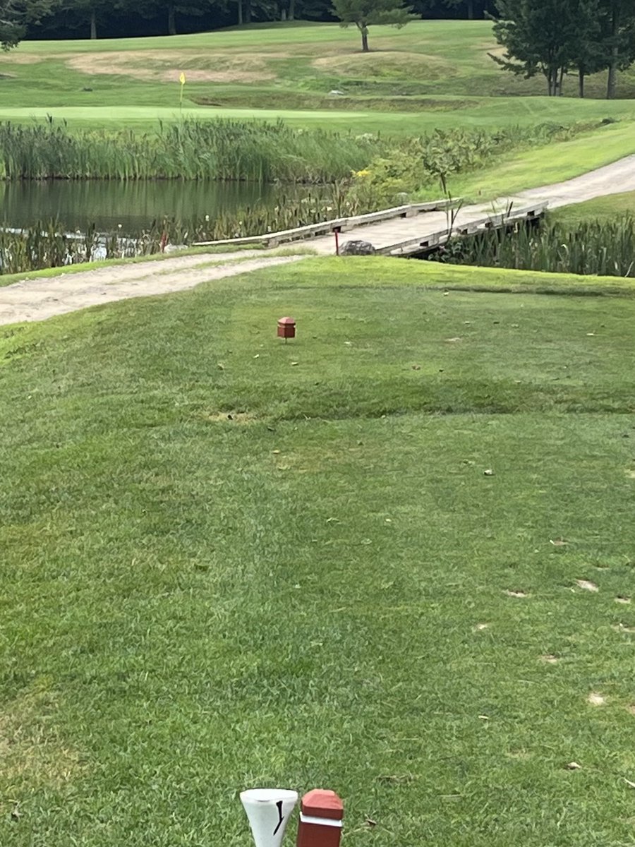 David Morissette tweet media