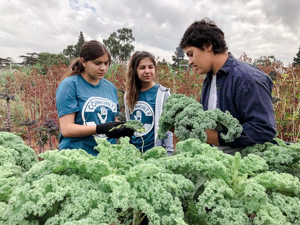 Pathways Travels tweet media