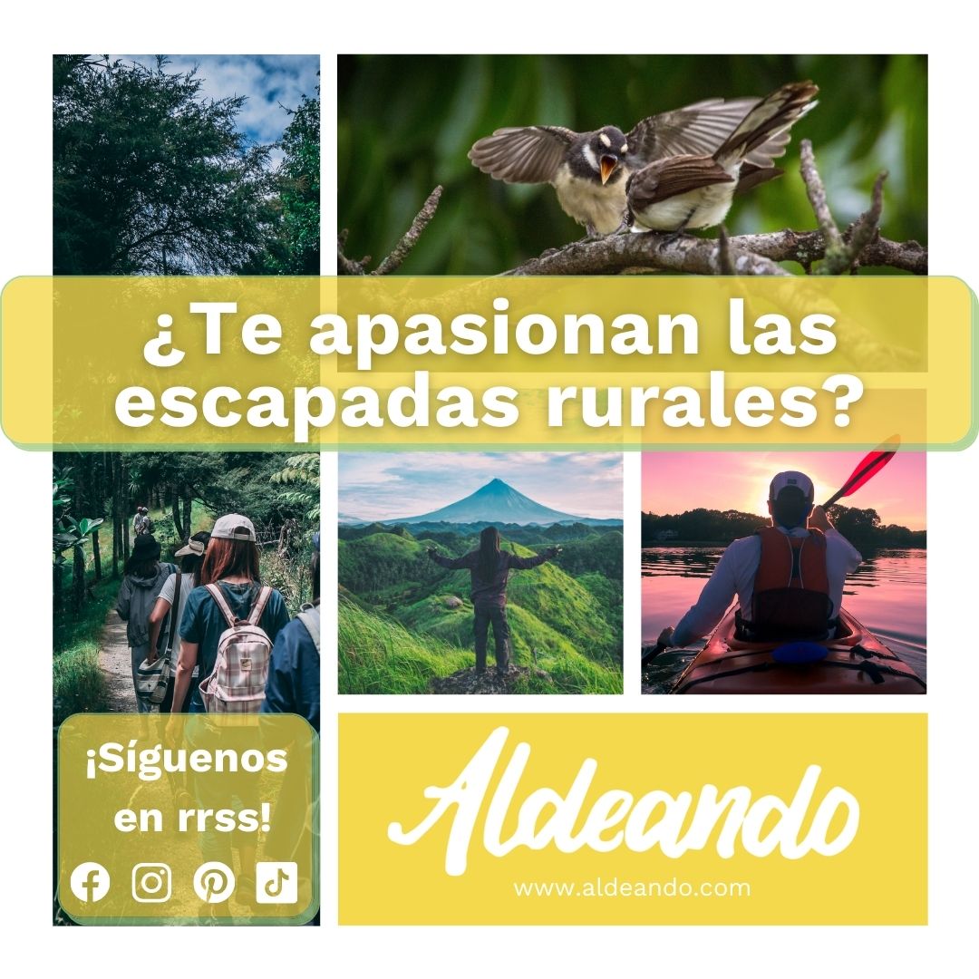 ¿Te apasionan las escapadas rurales?

Experimenta el turismo de naturaleza como nunca antes. Te descubrimos las mejores escapadas rurales para que crees momentos únicos e inolvidables.

Alójate y disfruta de las mejores zonas rurales de España.

👉 my.mtr.cool/piwembcyqn 👈