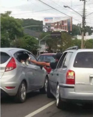 te gustan los perros?????
: