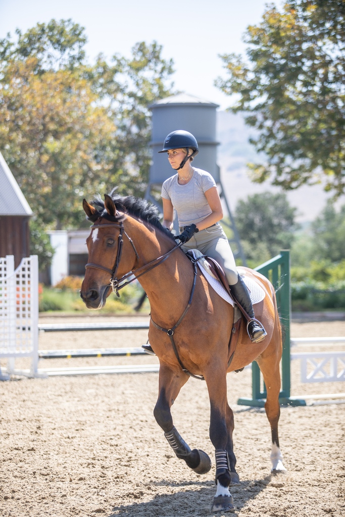 thefiteq's tweet photo. Kendall Wallin wears the Short Sleeve Seamless Schooling Top in Grey ☁️🤠

https://t.co/2XpU2H6p5R https://t.co/hd6i32AIrj