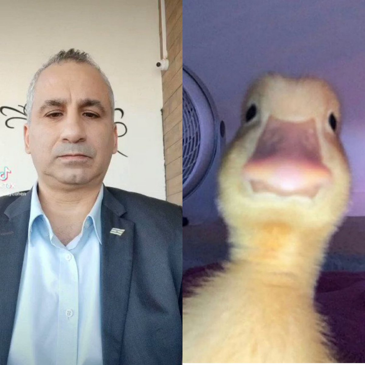 ابن فلسطين𓂆منير🇵🇸🇸🇦🇯🇴🦅 tweet media