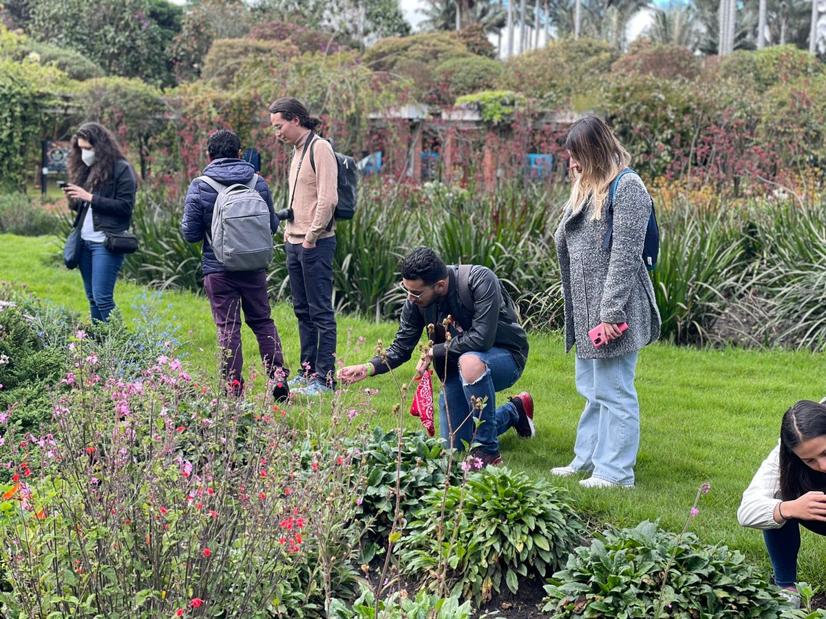 UniandesIBIO's tweet image. Diseño Inspirado en la naturaleza 🌿🥼

Así fueron los momentos que vivieron los participantes del curso de verano, quienes trabajaron durante tres semanas, con herramientas fundamentales del biomimetismo 
#escuelainternacionaldeverano #nature #biodiseño #biodesign