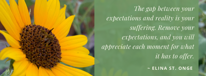 Have you read the latest news from TYS?
Check out all that’s happening by clicking below!
conta.cc/3djTCTJ