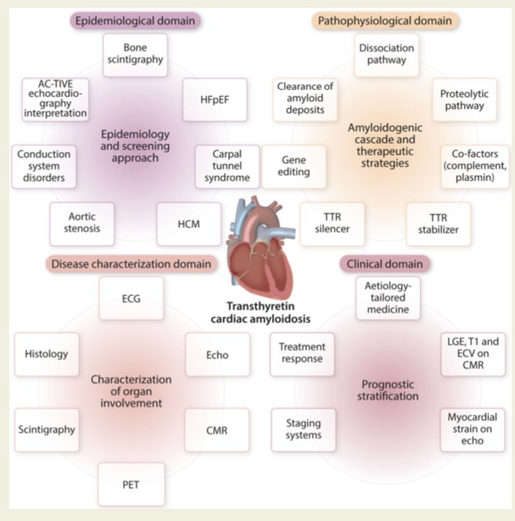 Emanuele Monda tweet media