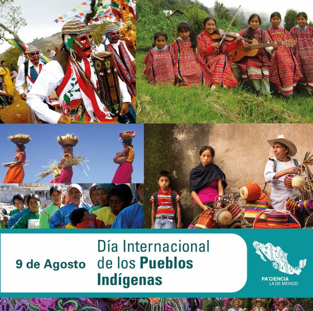 Existe una relación entre el patrimonio biocultural,la conservación y las regiones indígenas en nuestro país. Las comunidades indígenas han sido conocedoras y guardianas de nuestra biodiversidad y patrimonio biocultural. Hoy y diario es fundamental garantizar todos sus derechos🔥