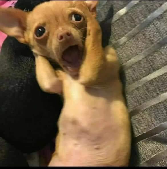 pineapplebrat9's tweet photo. This how Keyshawn was in the middle of the fight 😂 #pvalley https://t.co/QIJpEucobh
