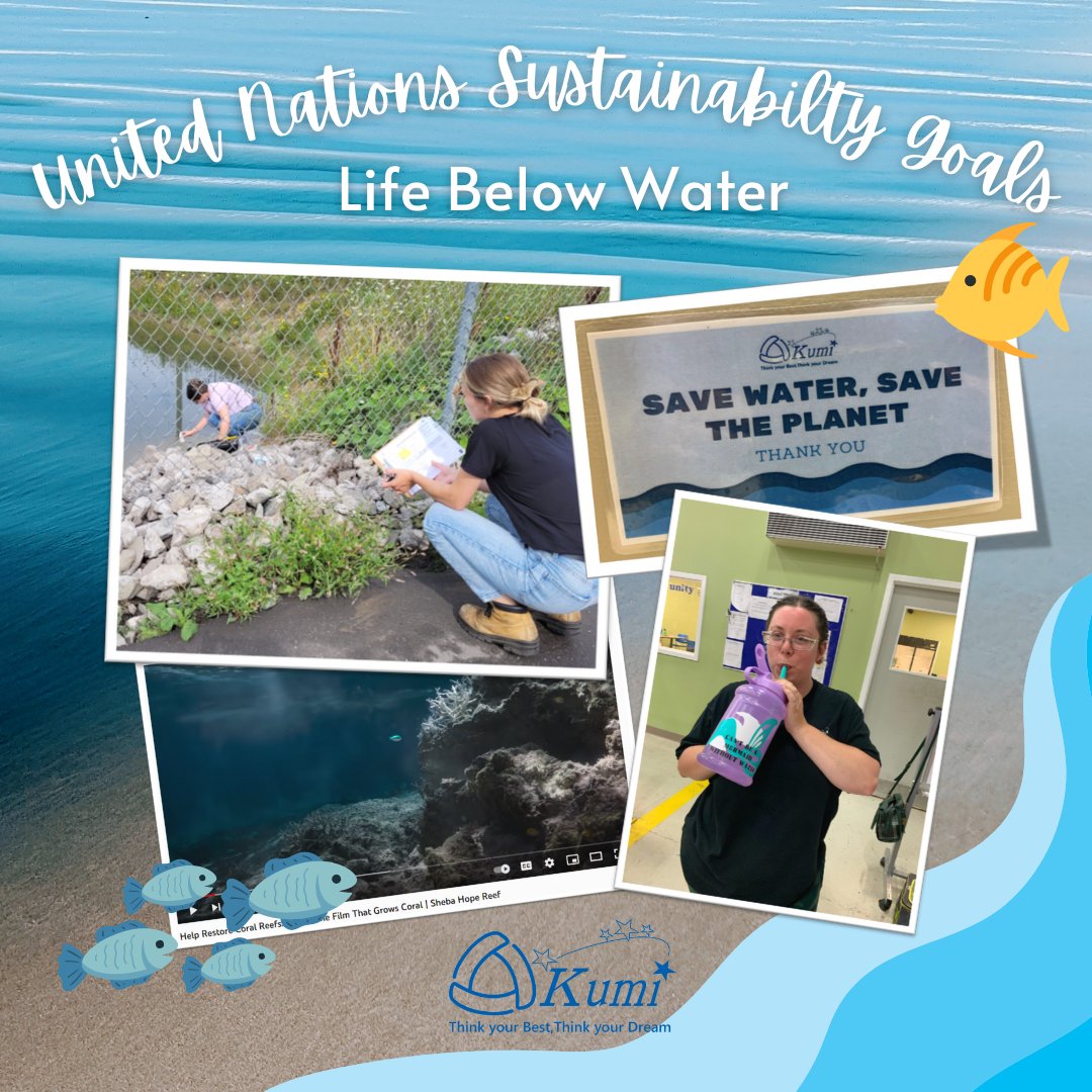 CanadaKumi's tweet photo. During the month of July, we took the time to focus on water by testing our stormwater ponds, raising money through the YouTube channel SHEBA to help restore coral reefs across the world and of course encouraging all associates to think about their water usage!

#Environemnt https://t.co/VxisJ2fViv