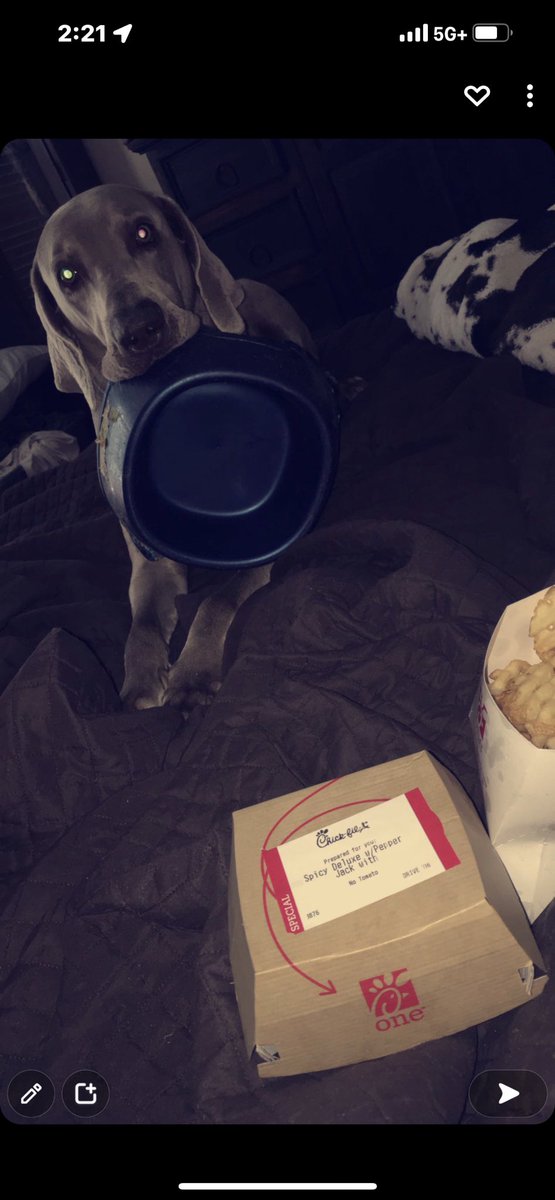 FEST IN PEACE SNUGGLE BUG. 🤍 we love and will miss you so much!