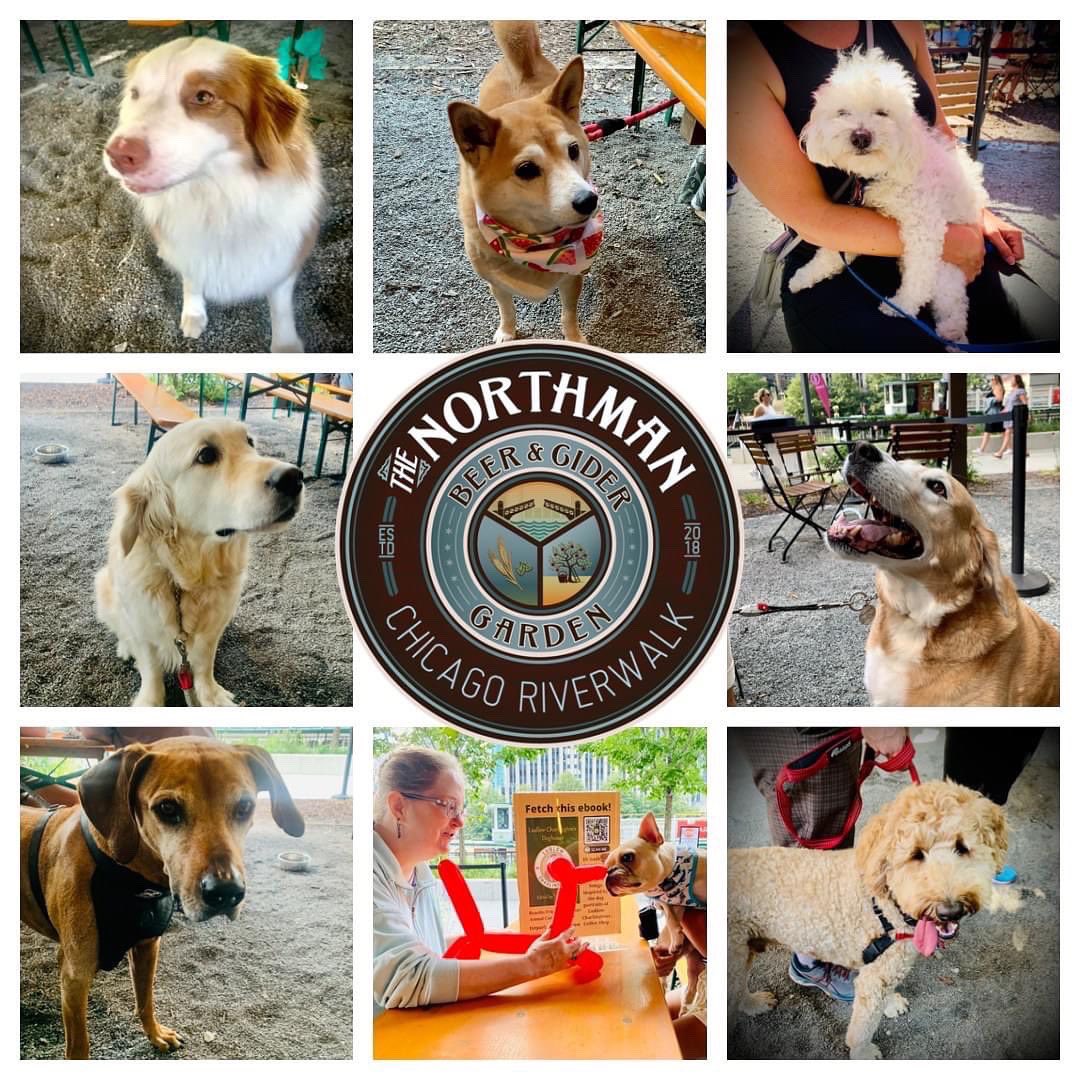 the_riverwalk's tweet photo. Paws up if ur coming to our #YappyHour tomoro? 25% of all @stemciders sales will be donated to @onetailatatime. Squeaky Beas will be here with treats & samples for ur pups! Ian Leith live 5pm-7pm.
#dogfriendly #dogfriendlyevent #happyhour #dogsofchicago #dogmomlife #dogdad https://t.co/WjihWf89Oa