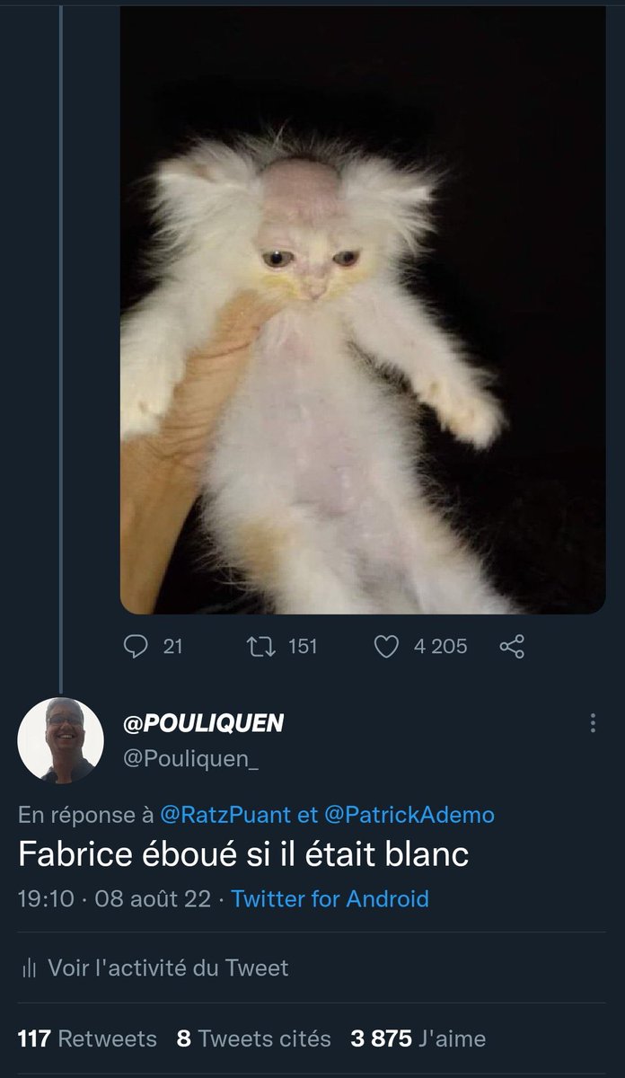 TopDesTwittos's tweet photo. Pendant ce temps sur Twitter https://t.co/Yg9WQRkEFV