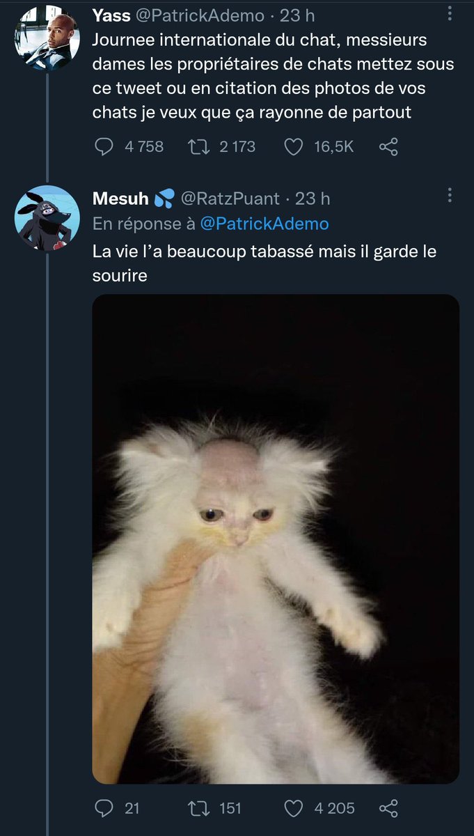 TopDesTwittos's tweet photo. Pendant ce temps sur Twitter https://t.co/Yg9WQRkEFV