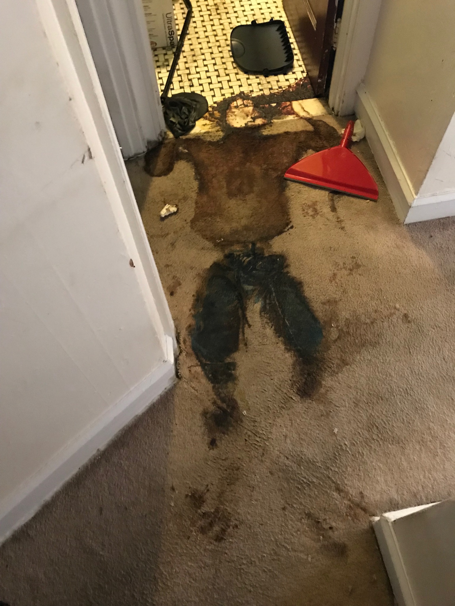 Crime Scene Cleaning on X
