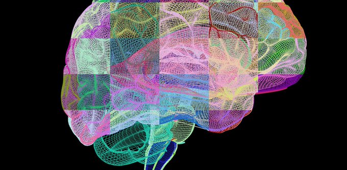 RahimAzizian's tweet photo. Consider this roundup of recent stories as brain food

Illuminating the brain one neuron and synapse at a time – 5 essential reads about how researchers are using new tools to map its structure and function
https://t.co/rzAxPQ6ZNs https://t.co/n4Td5xjiVI