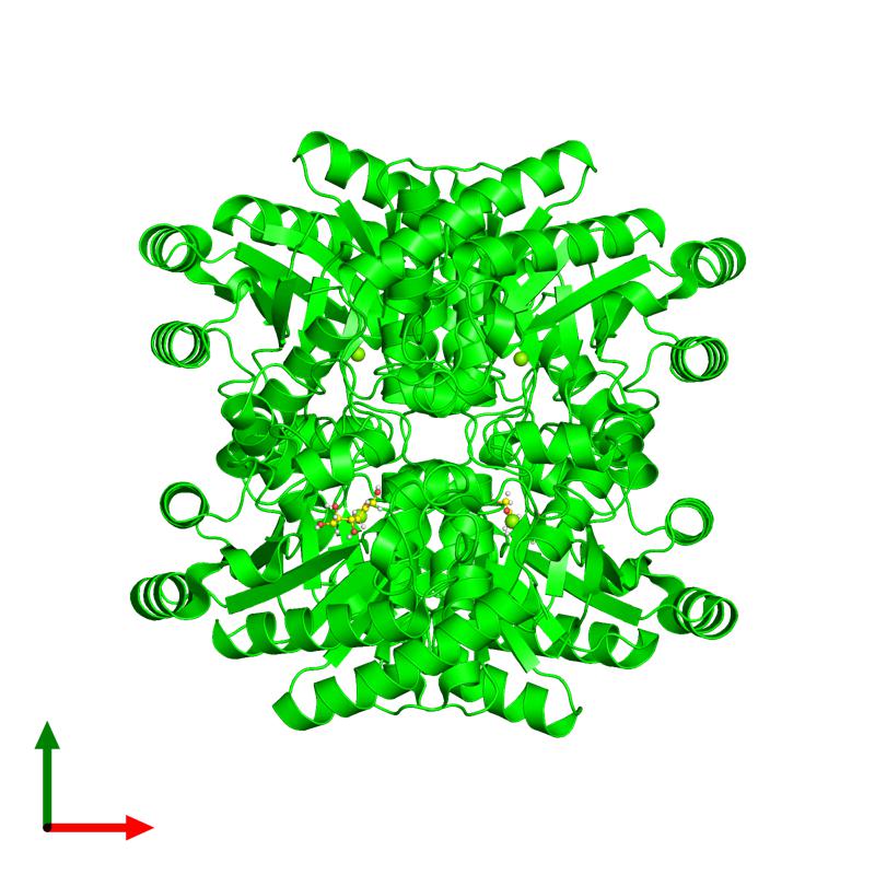 PDBimagebot's tweet photo. 'Crystal structures of D-allulose 3-epimerase with D-allulose fr..' Find it at https://t.co/32pSspMl12 https://t.co/DNVzPebHBf
