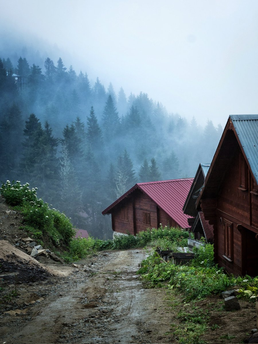 mgulec97's tweet photo. Bir doz #Karadeniz bırakalım. 
💚🌿🌱
#Hazindak Yaylasi, #Rize https://t.co/h0ttROZXaS