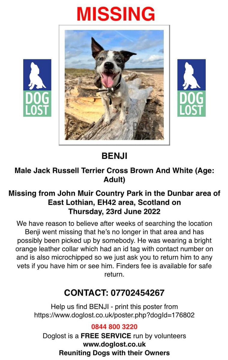 karensarah66's tweet photo. Where’s my mum ? I miss her so much and I know she misses me 😔 We’ve been apart since 23/6/22 Please help us be together again #BringBenjiHome  #missingtoolong  #JackRussellTerrier @TinaTowers3 @AlanDaffern @linda_kinnon @rosiedoc666 @DogLostUK @SAMPAuk_ @pettheftaware https://t.co/TPgYlfCQ3g
