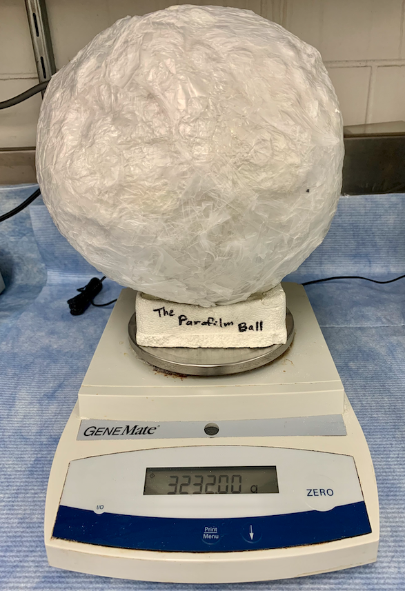 NoguchiLab2004's tweet photo. Introducing you The Parafilm Ball ⚽️!!!
@NoguchiLab2004 @DrexelBiochem
Our very first undergraduate, Mik @MVGarabedian started this sometime in 2007 or 2008. So, it is about 15 years old and still growing!!!

#parafilm https://t.co/P1TtU86oVn