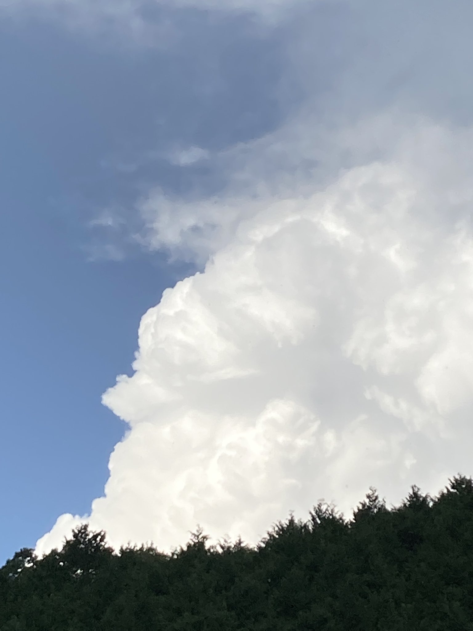 تويتر べるり على تويتر 夏って 終わるのホンマに早い あぁ 終わっちゃう夏 T Co Sd38olc5fn