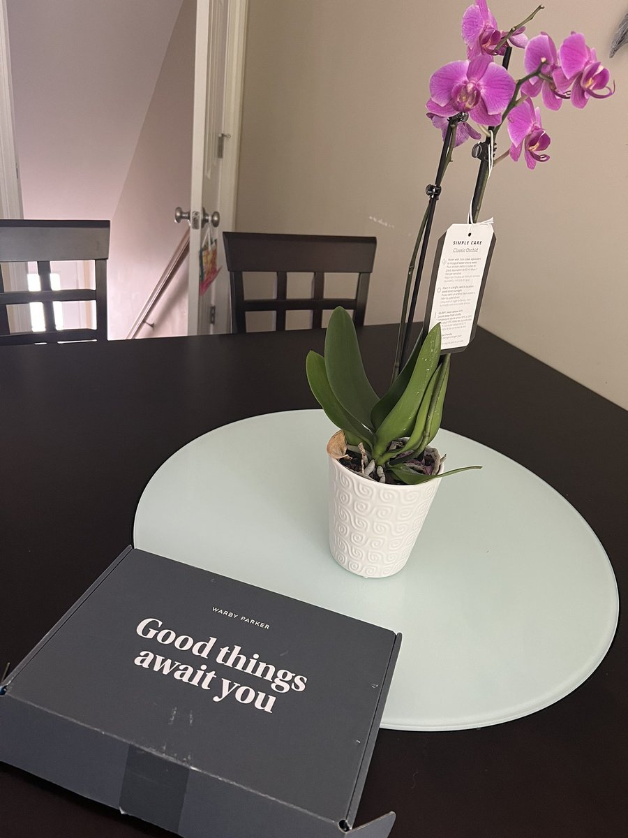 TarnyaCarrier's tweet photo. @goe_anita look what my son got in the mail! He asked me about buying new prescription glasses so I sent him my blog post about @WarbyParker and he was sold. He tried the home try-on and fell in love with a pair! #snhusmm https://t.co/9M2etXU44w