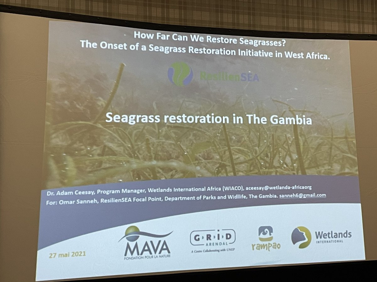 🌊🌱🚨#happeningnow #adamceesay presenting on behalf of #omarniang on the #first #groundbreaking #restoration project in #westafrica in #thegambia. We hope to share #lessonslearned to the rest of the #region by year end #keepmapping #seagrassrulez 🌊🌱💪🏿🎉