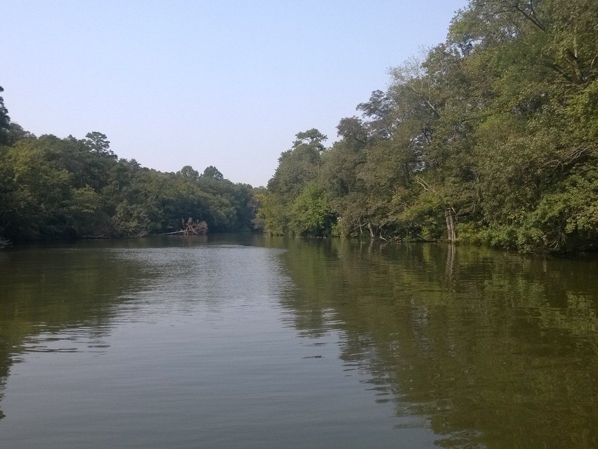 A 35 million pound salmon factory has received tentative permit by MDE, which portends unacceptable risk for Maryland's only sturgeon population, which continues to spawn in amidst the swamps and marshes that line the Marshyhope Creek. 

marylandmatters.org/2022/08/08/opi…