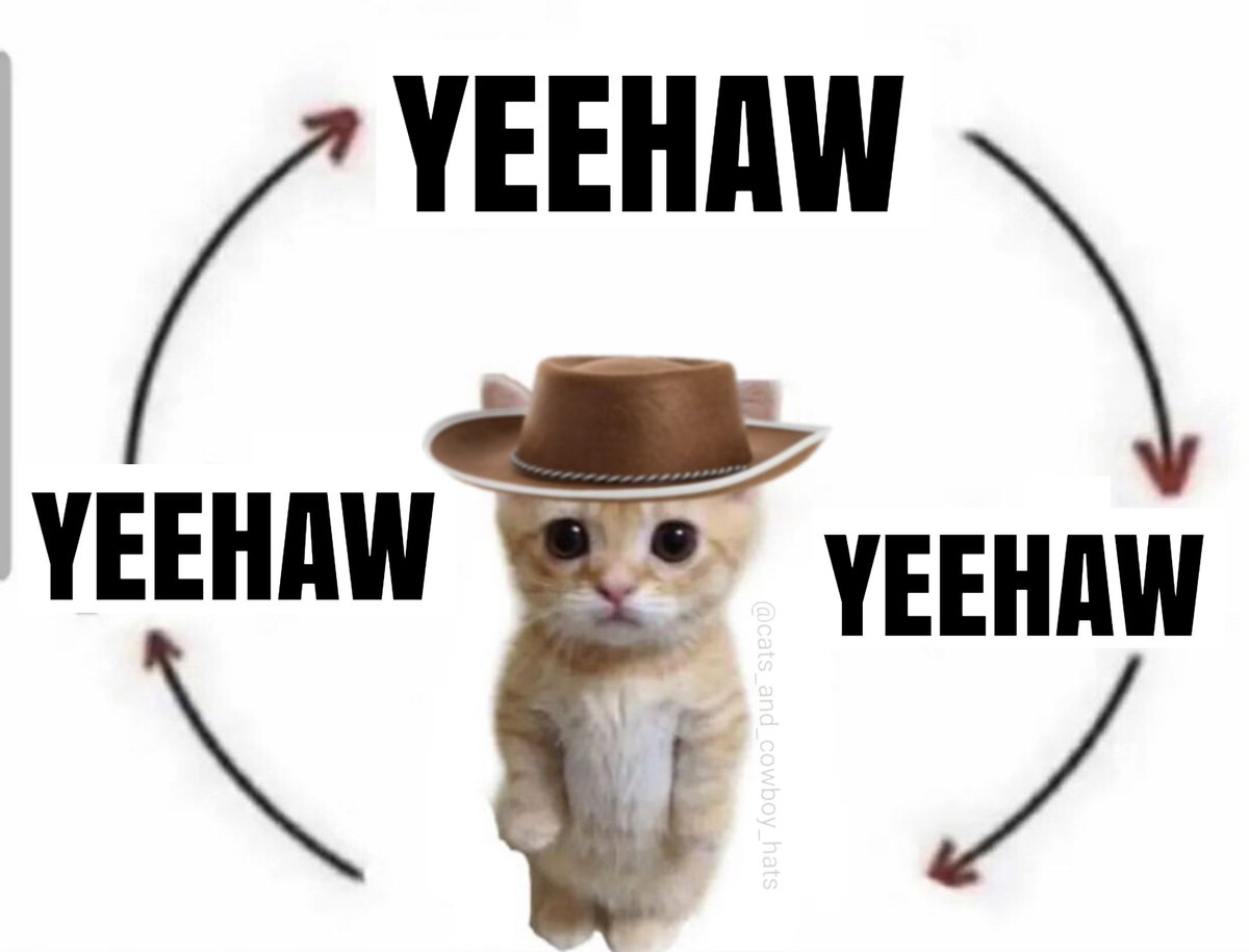 Cats And Cowboy Hats (@cowboycats) on Twitter photo 