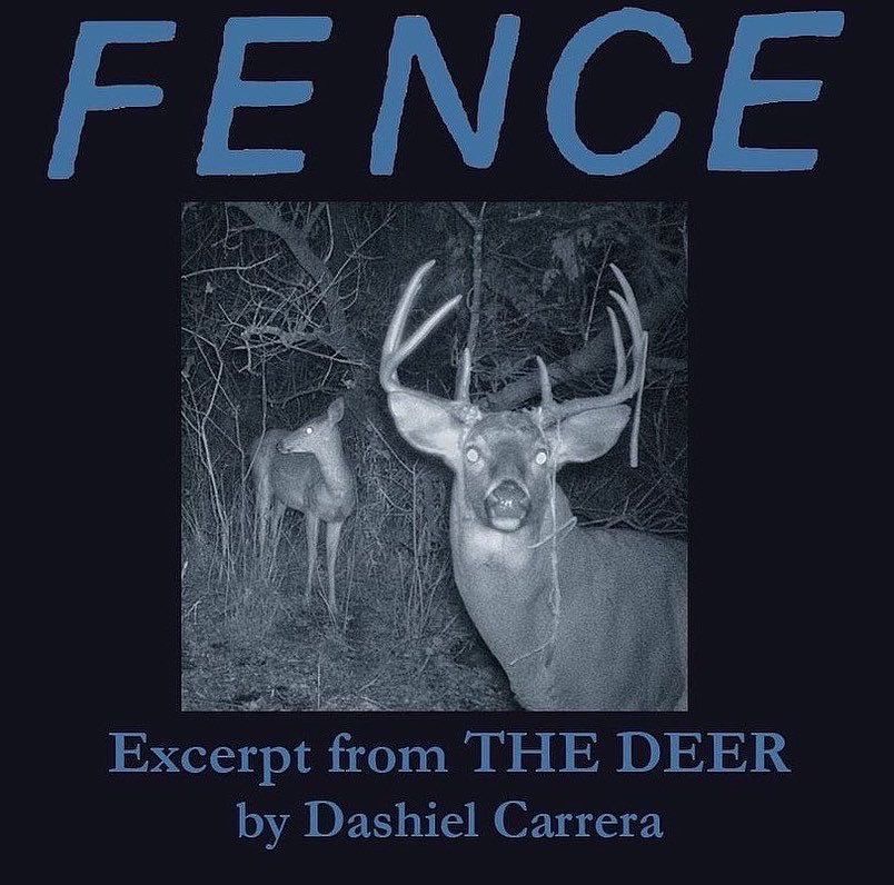 Fence/Books on Twitter: 