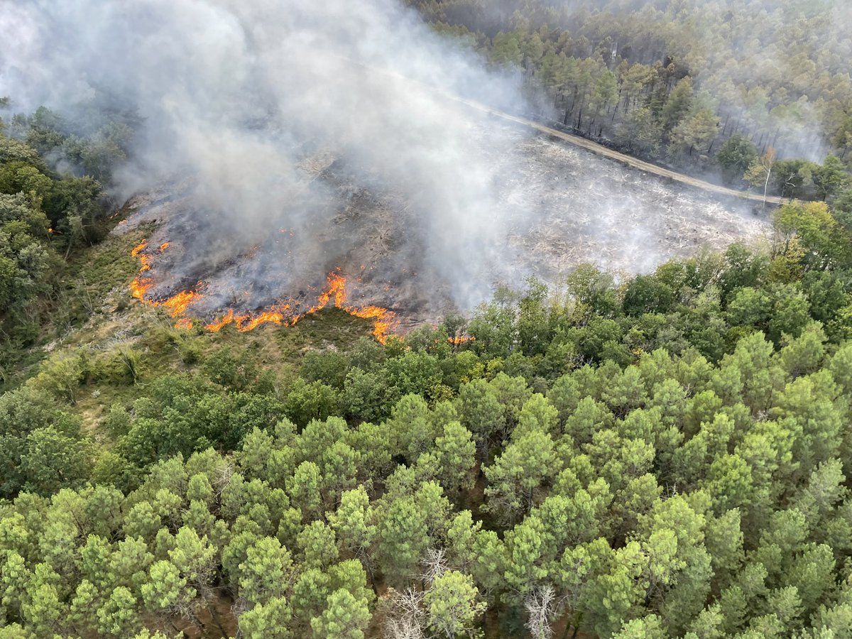 Philippe Chalopin tweet media