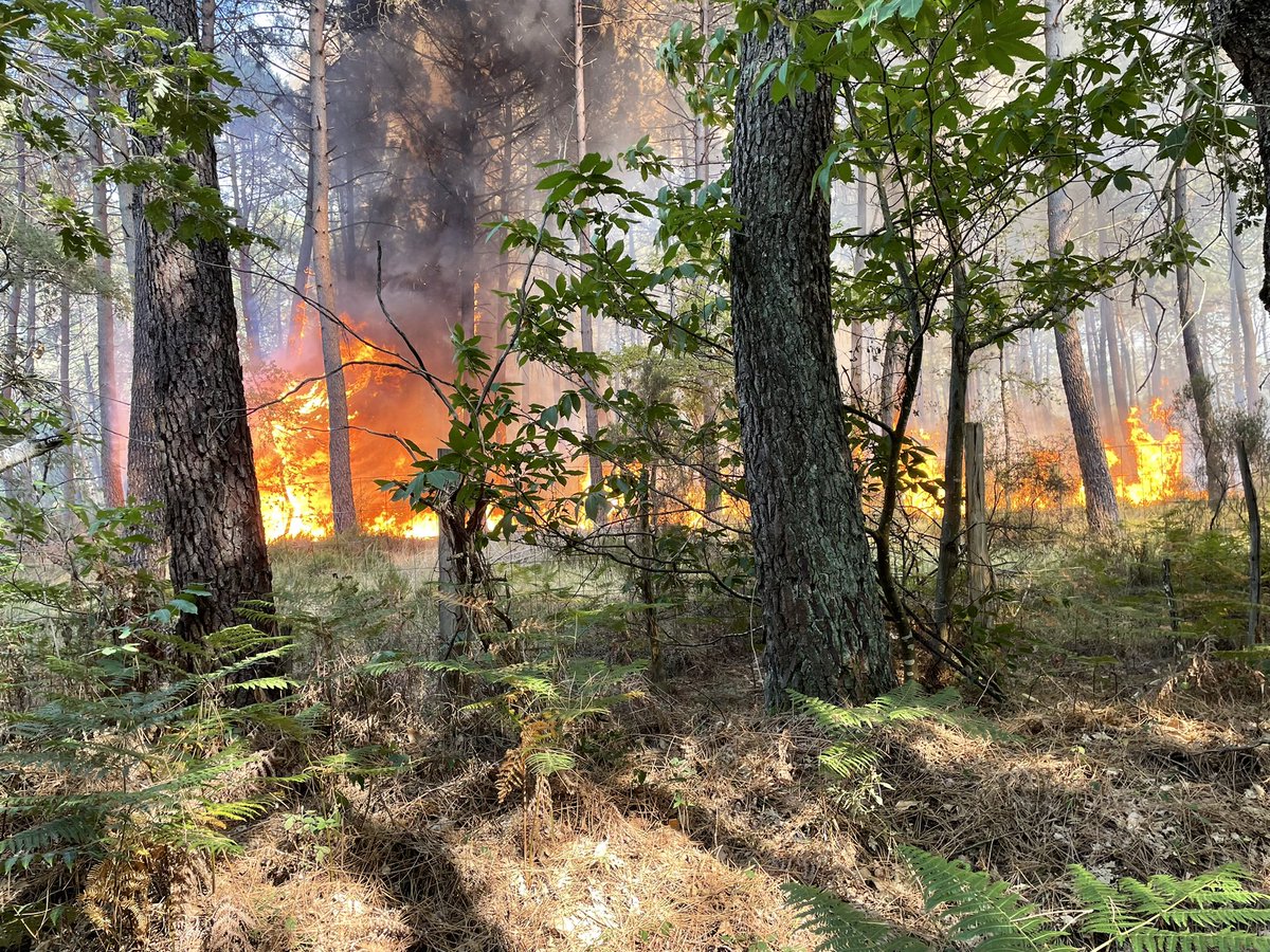 Philippe Chalopin tweet media