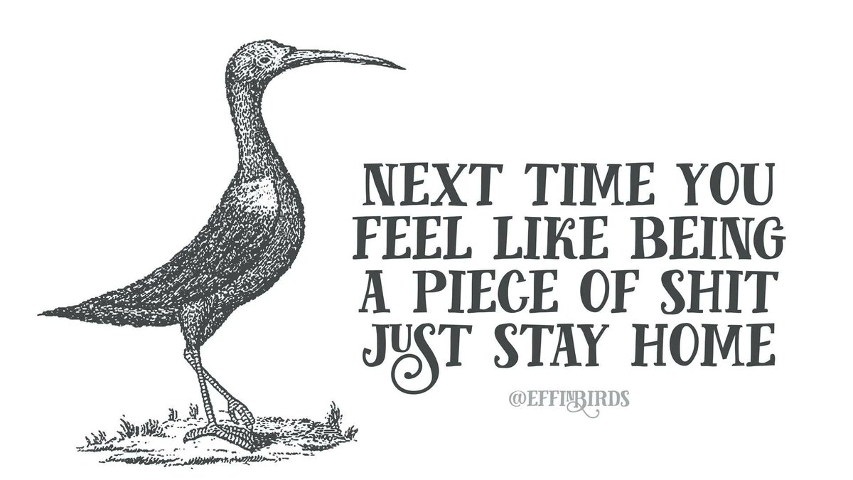 EffinBirds's tweet photo. https://t.co/WUZnApno0I