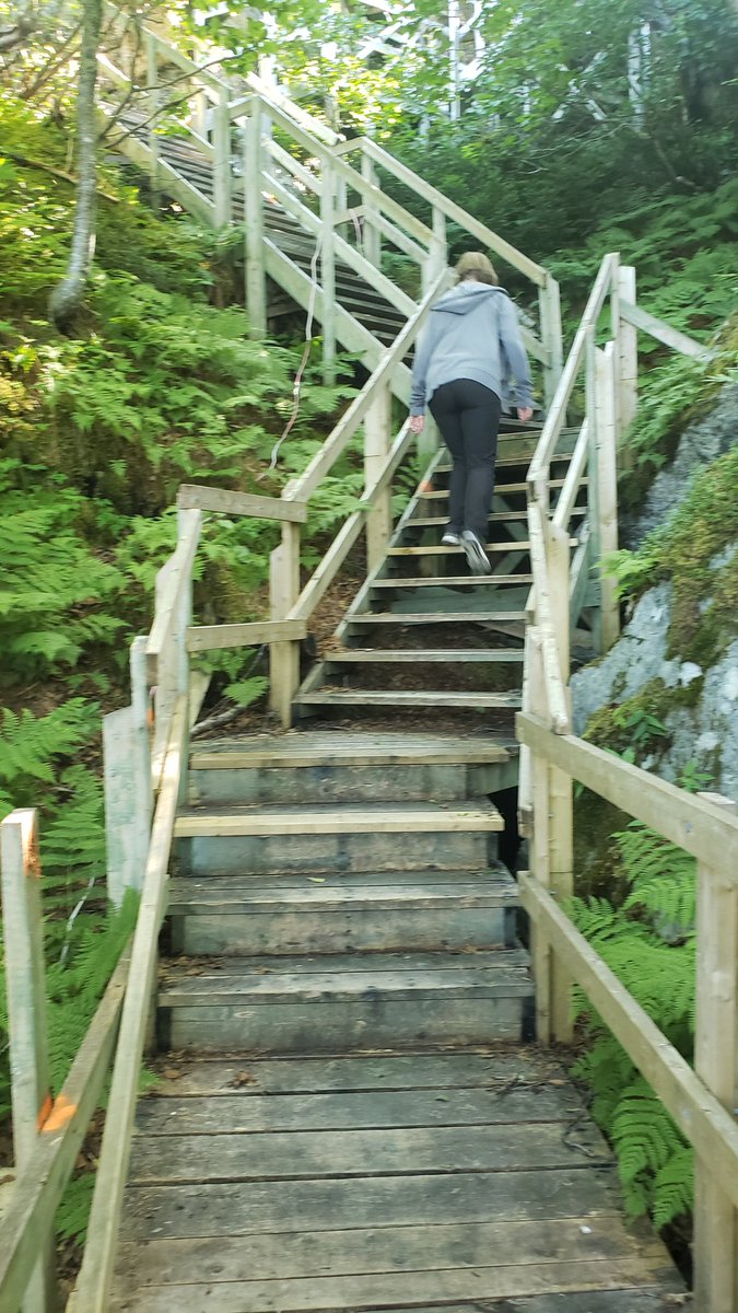 Woody Van Arkel🧢 🇨🇦🌽🐖🚲🌞🍺 tweet media