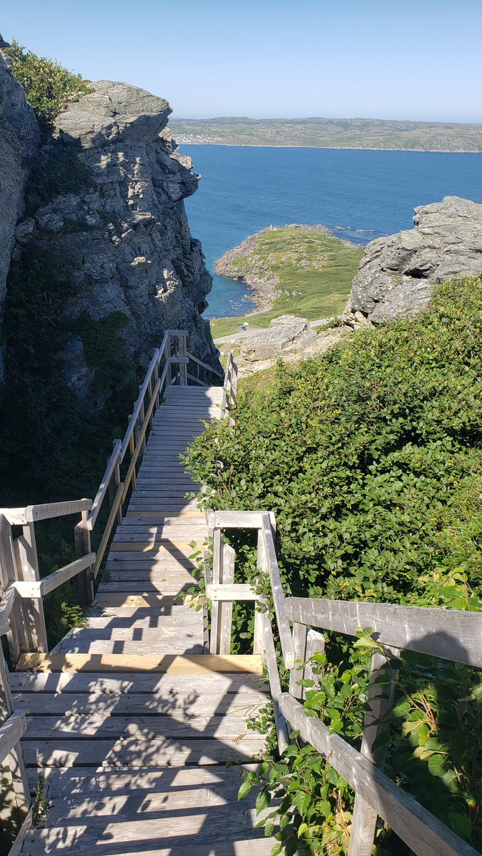 Woody Van Arkel🧢 🇨🇦🌽🐖🚲🌞🍺 tweet media