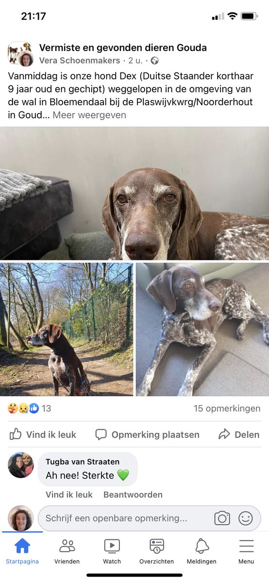 Vera Schoenmakers5VS tweet media