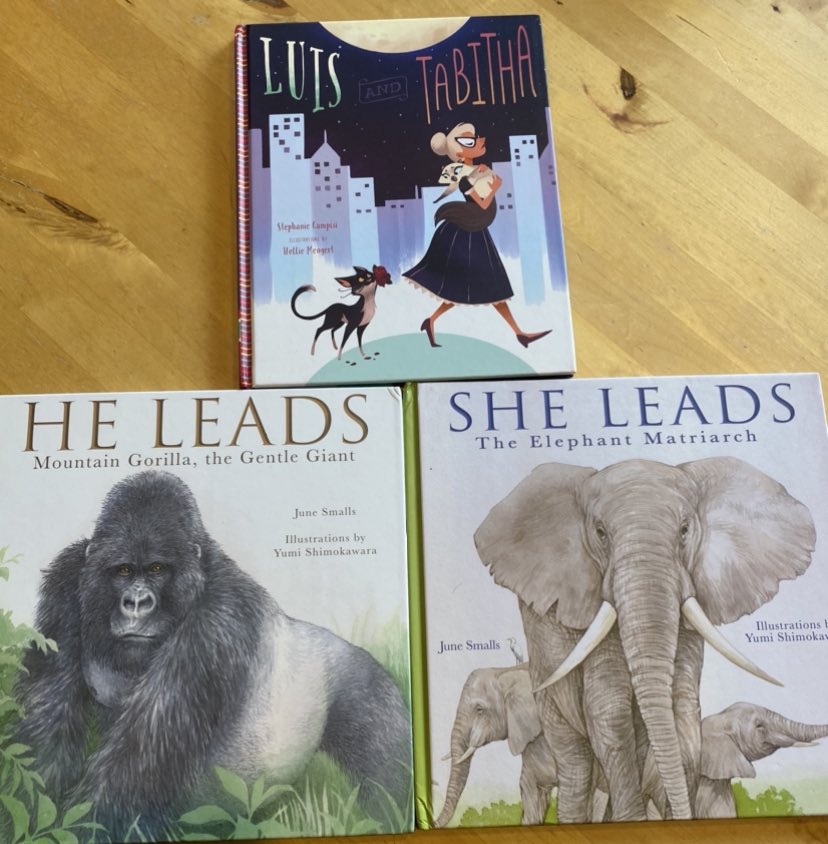 TheLitAdvocate's tweet photo. 👀 your 📪, @yvettecoughlin1! These 3  gorgeous PBs are coming your way via #BookPosse mail! @familiustalk has raised the bar w/these 📚 that interest, entertain &amp; amaze young readers! #LuisAndTabitha @stephcampisi #HollieMengert #SheLeads #HeLeads @June_Smalls #YumiShimokawara https://t.co/pcV8wqwxzY