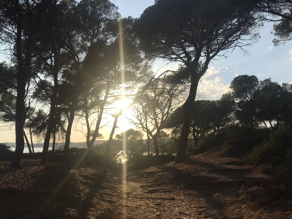 elisendatgn's tweet photo. Tarragona m’enamora… https://t.co/LPHCnsoL3E